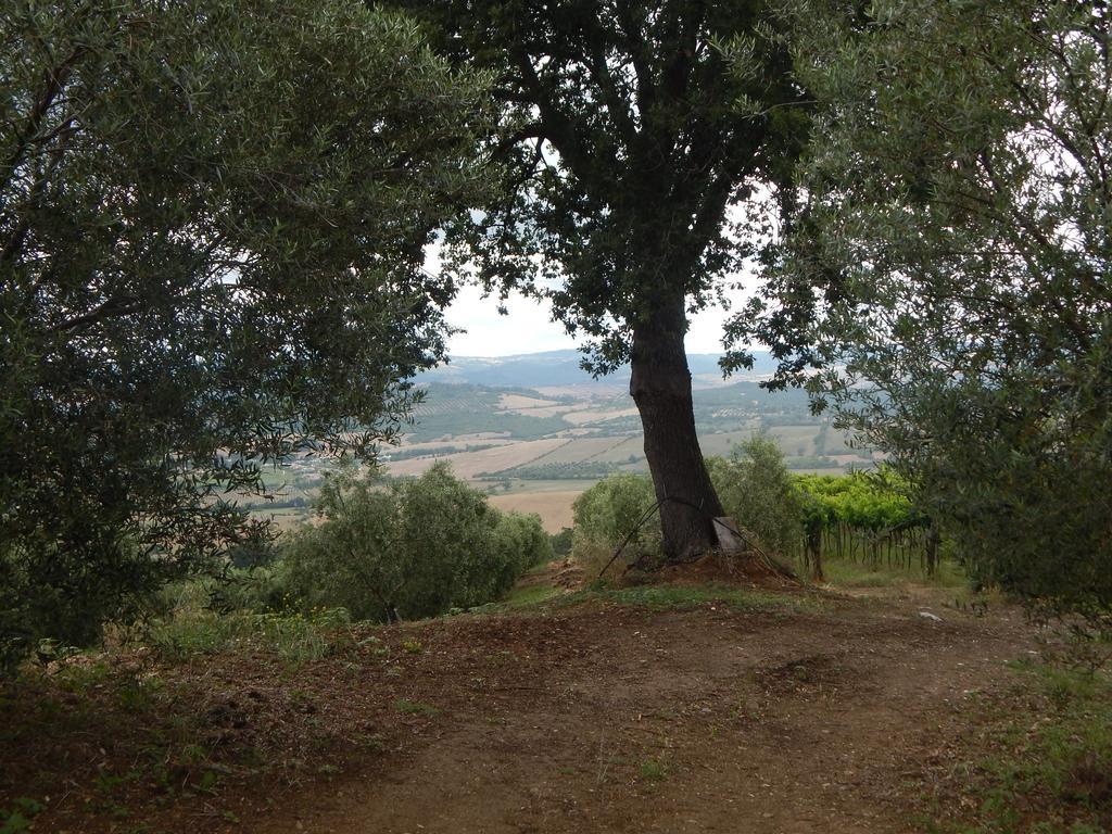 Piane Del Bagno Villa Saturnia Buitenkant foto