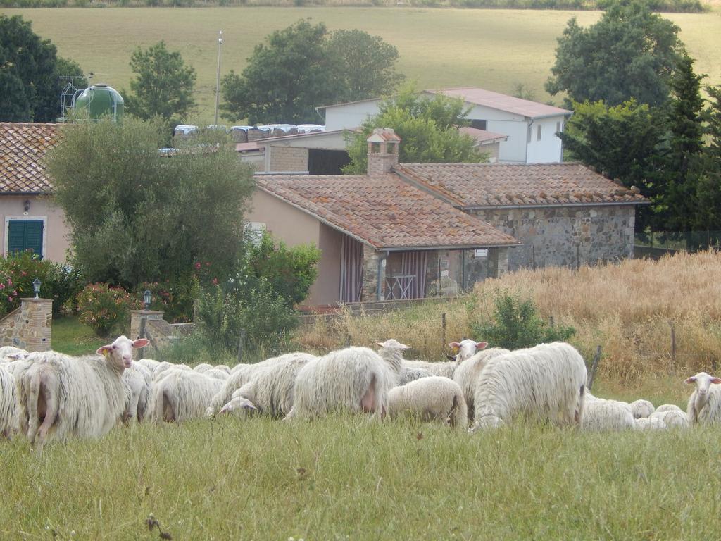 Piane Del Bagno Villa Saturnia Buitenkant foto