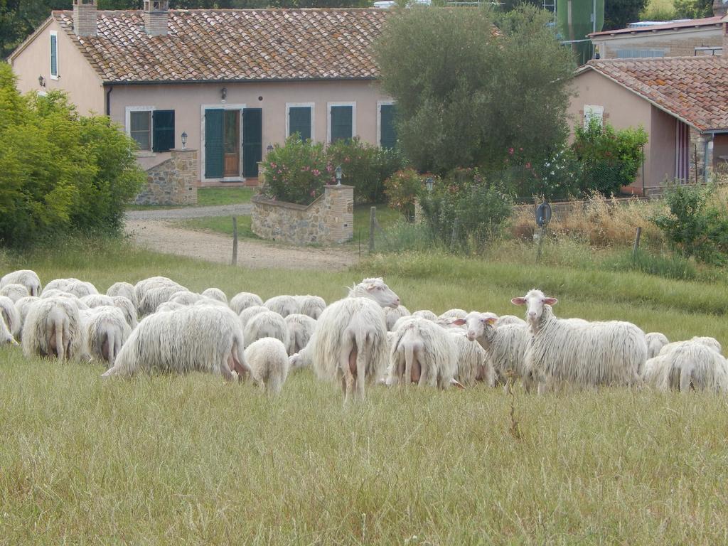 Piane Del Bagno Villa Saturnia Buitenkant foto